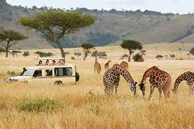 Safari in Afrika